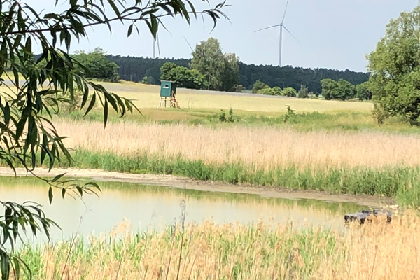 Klassenfahrt Fläming Brandenburg Deutschland Klassenfahrt Fläming Brandenburg Deutschland